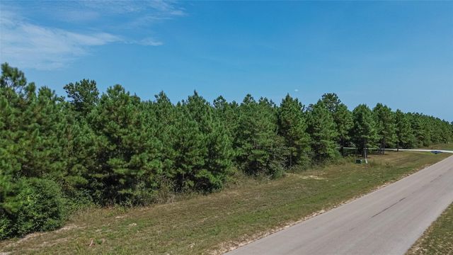 11997 High Branch Way, Willis, TX 77378