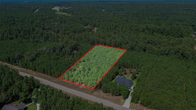 11997 High Branch Way, Willis, TX 77378