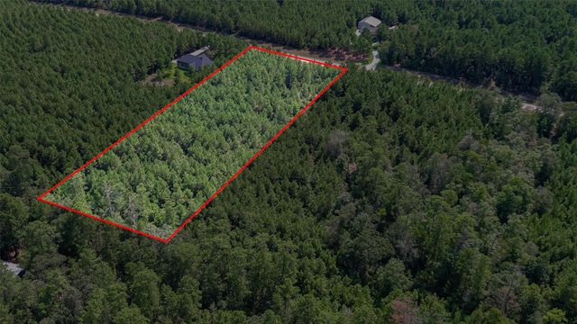 11997 High Branch Way, Willis, TX 77378