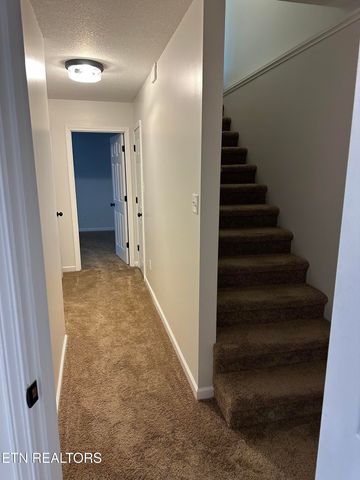 129131 Lucy Ln, Maryville, TN 37803