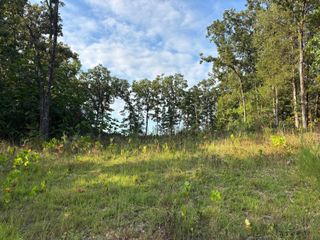 116 Pebble Beach Court, Branson, MO 65616