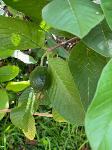 13135 SW 218th Ter, Miami, FL 33170