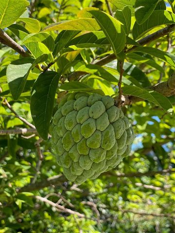 13135 SW 218th Ter, Miami, FL 33170