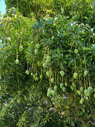 13135 SW 218th Ter, Miami, FL 33170