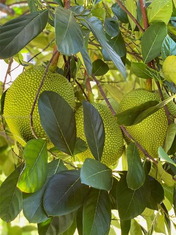 13135 SW 218th Ter, Miami, FL 33170