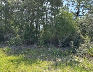 8547 N Trojan Drive, Citrus Springs, FL 34433