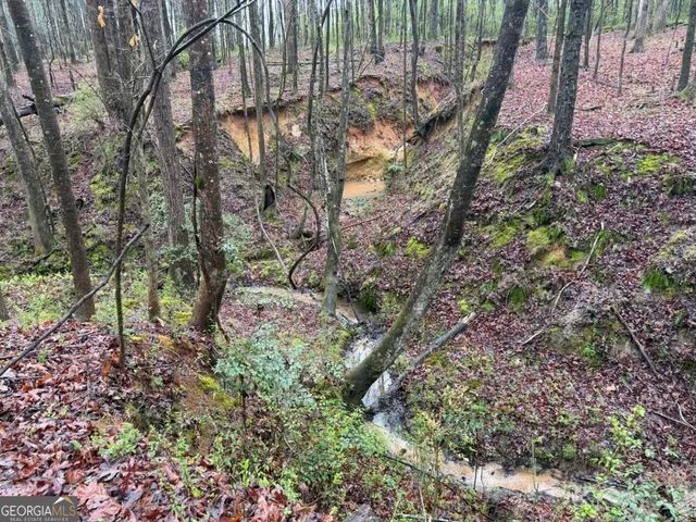 1791 McRess Gin Road, Watkinsville, GA 30677