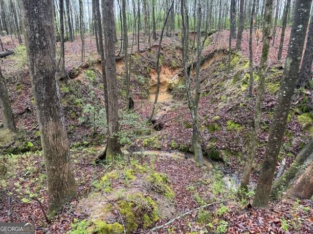 1791 McRess Gin Road, Watkinsville, GA 30677