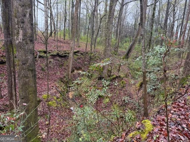 1791 McRess Gin Road, Watkinsville, GA 30677