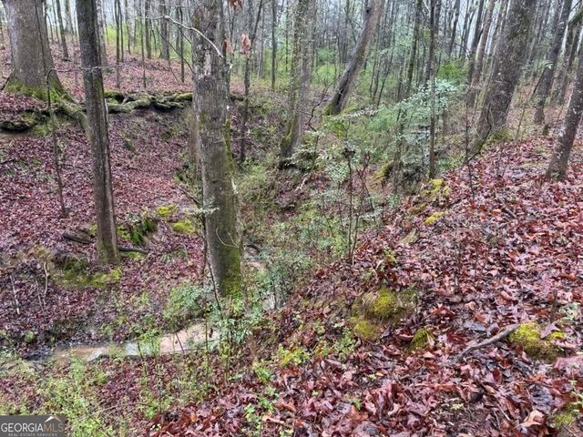 1791 McRess Gin Road, Watkinsville, GA 30677