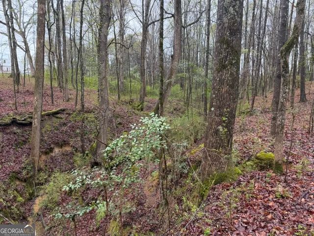 1791 McRess Gin Road, Watkinsville, GA 30677