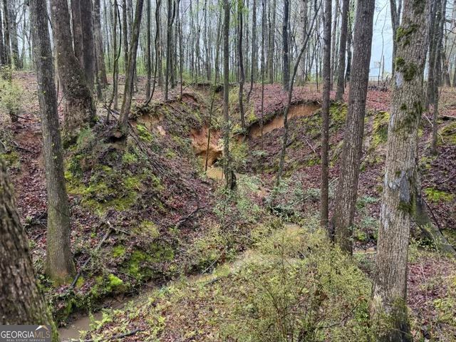 1791 McRess Gin Road, Watkinsville, GA 30677