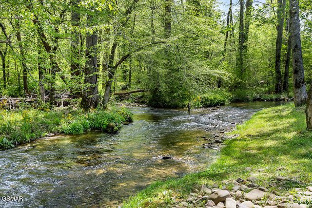 3858 Holders Grove Road, Cosby, TN 37722