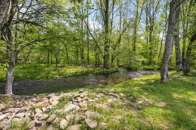 3858 Holders Grove Road, Cosby, TN 37722