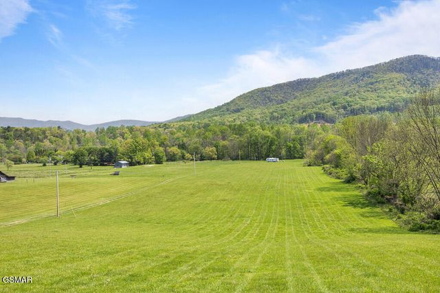 3858 Holders Grove Road, Cosby, TN 37722