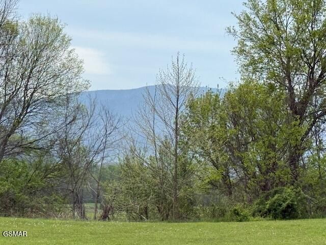 3858 Holders Grove Road, Cosby, TN 37722