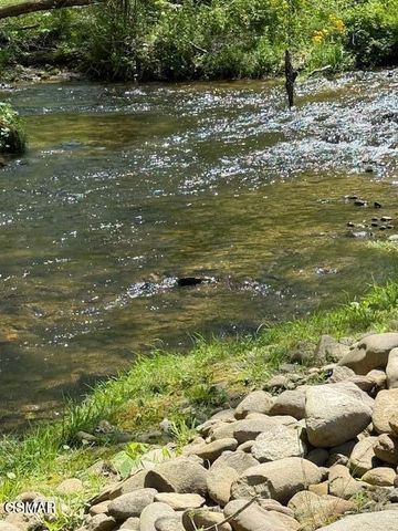 3858 Holders Grove Road, Cosby, TN 37722