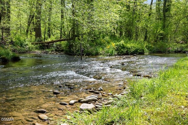 3858 Holders Grove Road, Cosby, TN 37722