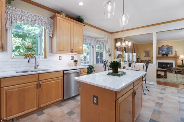 4 Muirhead Ct, Montgomery Twp., NJ 08502