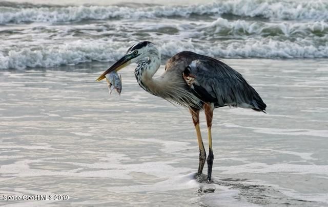 208 Tin Roof Avenue, Cape Canaveral, FL 32920