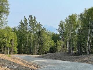 L5 B1 Sandburg Drive, Wasilla, AK 99654