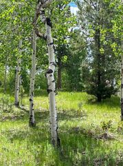 630 PEMBROOK Drive, Woodland Park, CO 80863