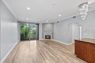 11280 La Maida Street 303, North Hollywood, CA 91601