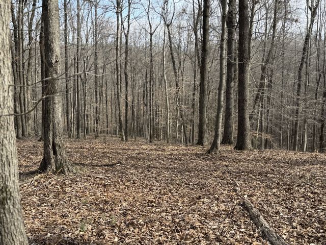 1475 Holland Rd, Lafayette, TN 37083