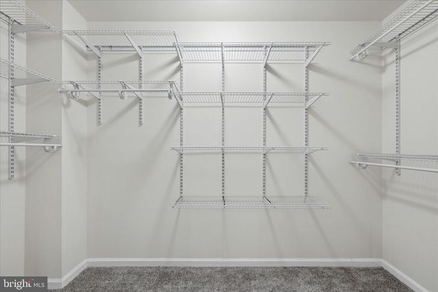 8258 SUPINLICK RIDGE RD, Basye, VA 22842