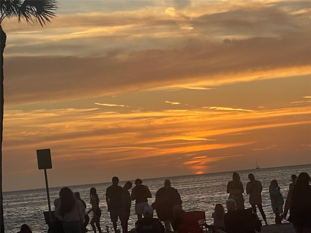 Image 70 of property listing at 2530 GARY CIRCLE 802, Dunedin, FL 34698