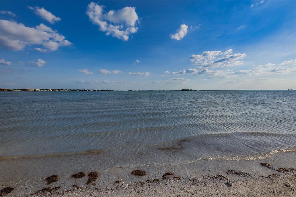 Image 83 of property listing at 2530 GARY CIRCLE 802, Dunedin, FL 34698