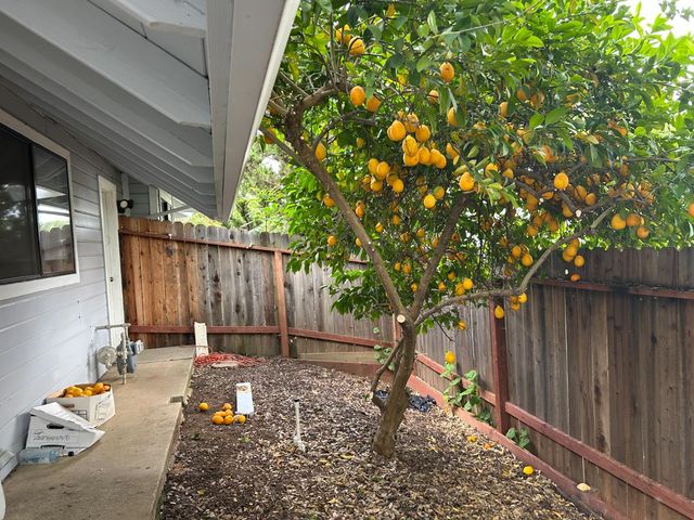 8320 Niessen Way, Fair Oaks, CA 95628