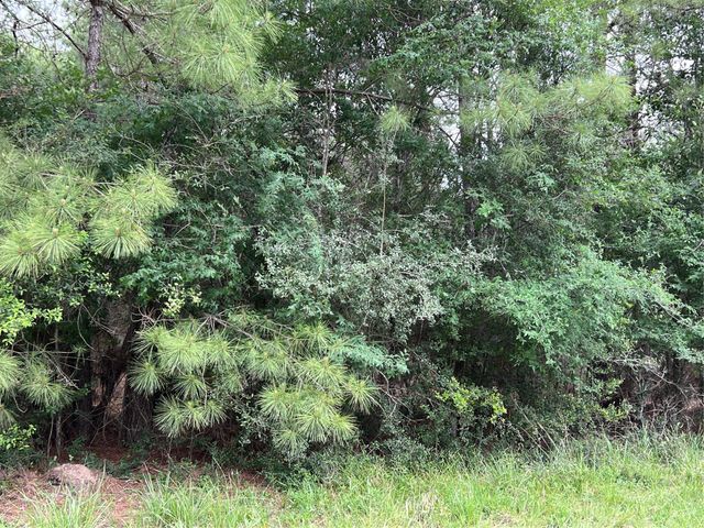 0020 English Rd Road, Bedias, TX 77831