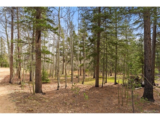418 Athena Rd, Black Hawk, CO 80422