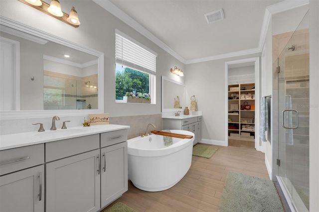 8254 PROCIDA ISLE LANE, Windermere, FL 34786