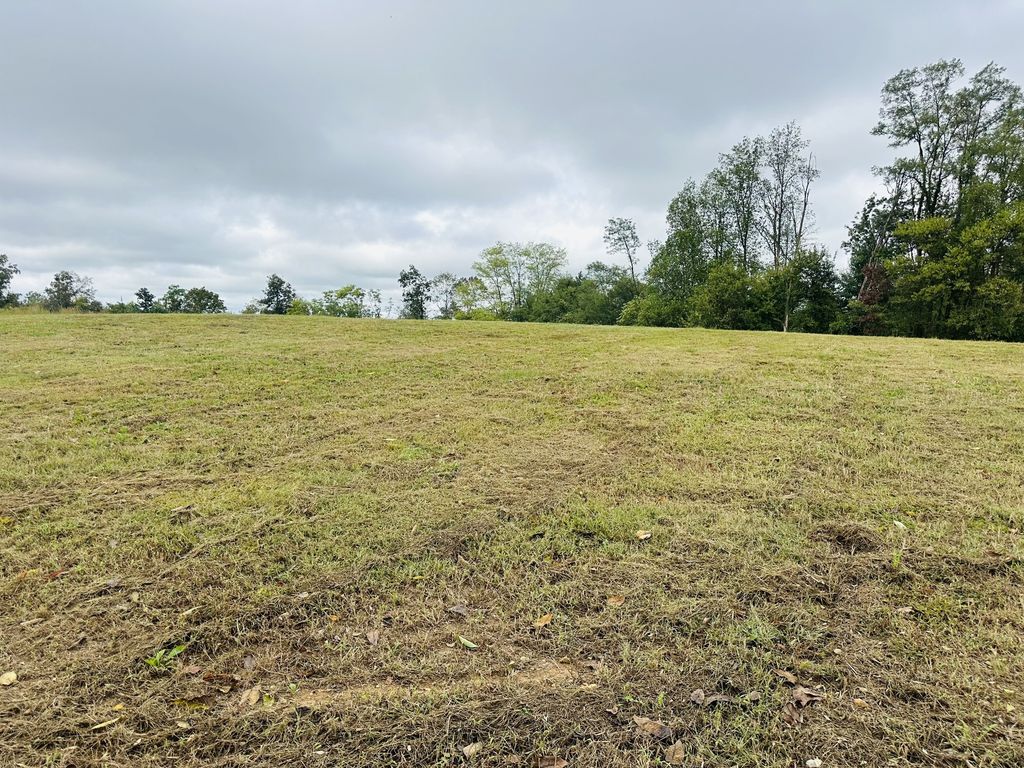 7 Annie Hollow Rd, Westmoreland, TN 37186