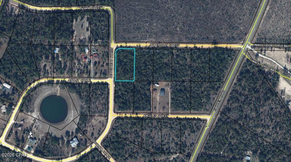 TBD Beaverhead Street, Alford, FL 32420