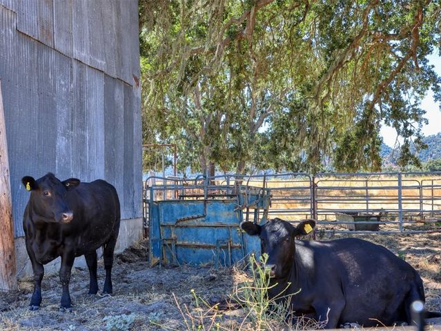 5720 Huasna Townsite Road, Arroyo Grande, CA 93420