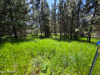 KNA Westview Dr, Harrison, ID 83833