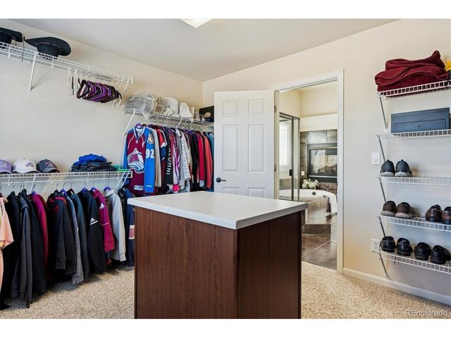 3902 Eagle Tail Ln, Castle Rock, CO 80104