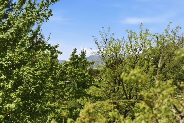 2215 N 1400 E, Provo, UT 84604