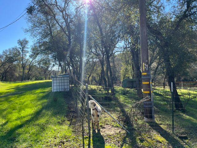 11187 Peoria Rd, Browns Valley, CA 95918