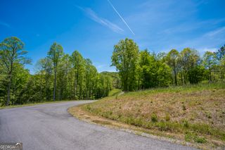 LOT 4-4A Waterstone Way, Mineral Bluff, GA 30559