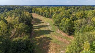 944 Shoal Bluff Rd, Minor Hill, TN 38473