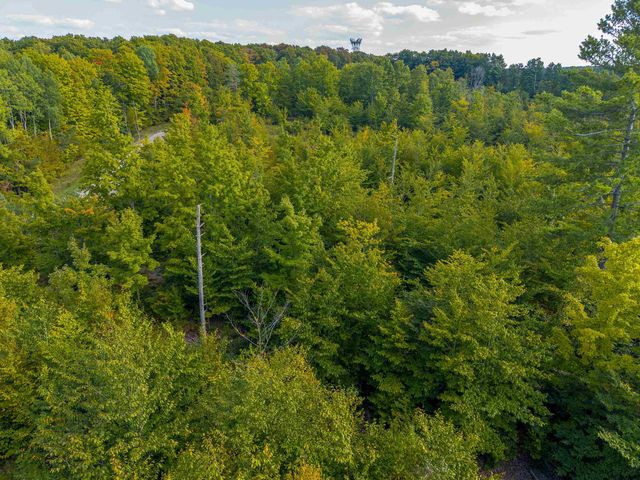 VL 18.75A Nw Walker Road, Nw, Kalkaska Twp, MI 49676