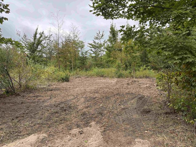 VL 18.75A Nw Walker Road, Nw, Kalkaska Twp, MI 49676