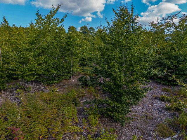 VL 18.75A Nw Walker Road, Nw, Kalkaska Twp, MI 49676