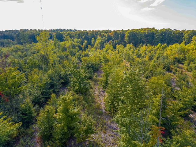 VL 18.75A Nw Walker Road, Nw, Kalkaska Twp, MI 49676