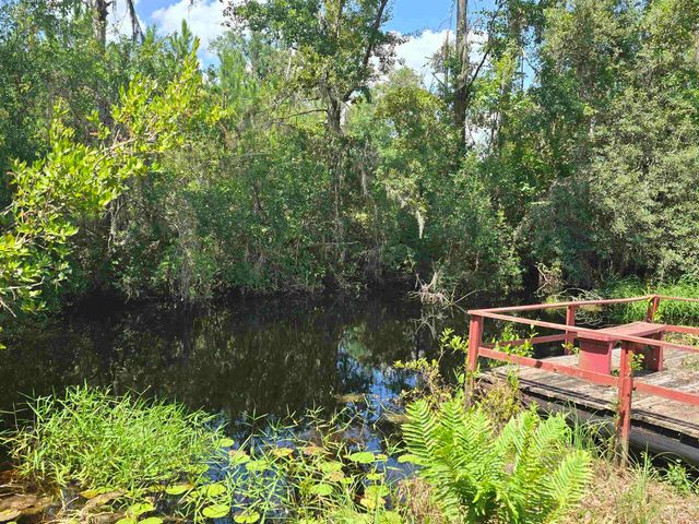 3232 Loren Henderson Rd, Perry, FL 32347