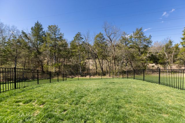 1467 Autumn Leaf Ln, Mount Juliet, TN 37122